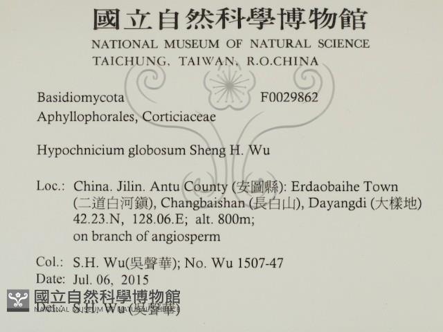 登錄號:F0029862藏品圖，第2張