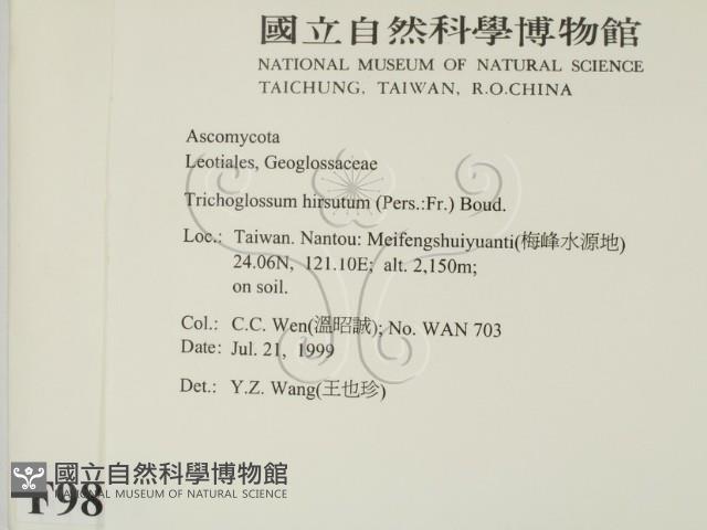 登錄號:F0009862藏品圖，第2張