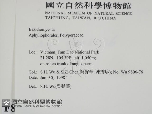 登錄號:F0008962藏品圖，第2張