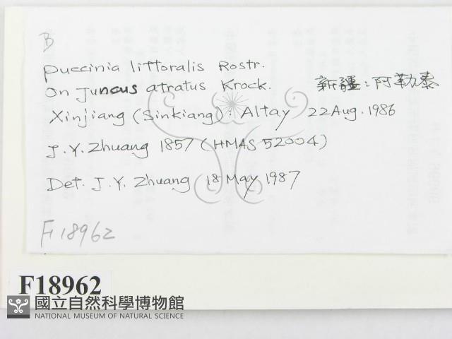 登錄號:F0018962藏品圖，第2張