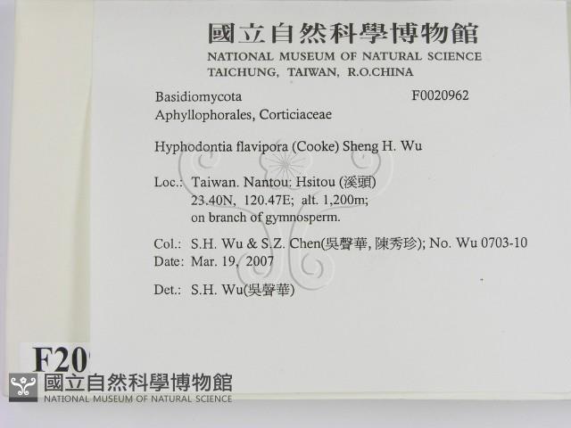登錄號:F0020962藏品圖，第2張