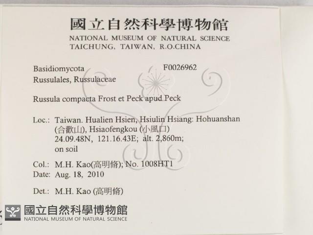 登錄號:F0026962藏品圖，第2張