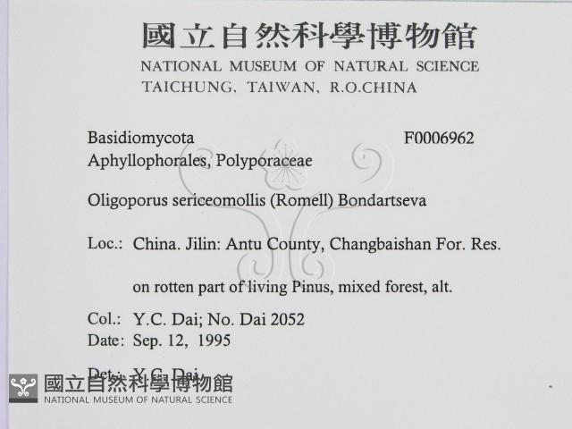 登錄號:F0006962藏品圖，第2張