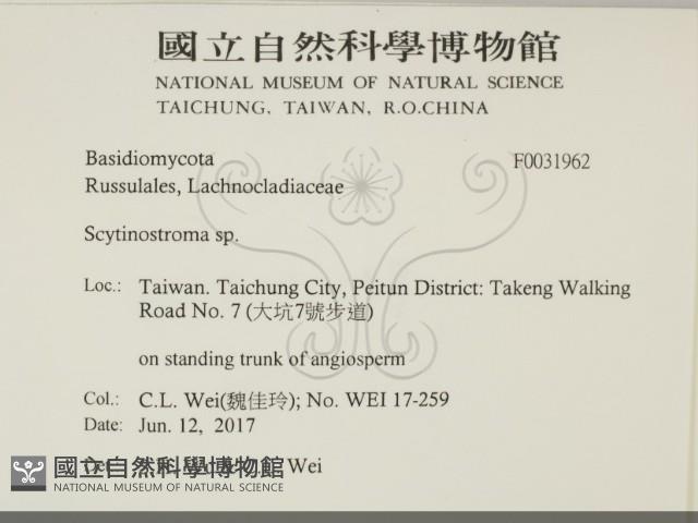 登錄號:F0031962藏品圖，第2張