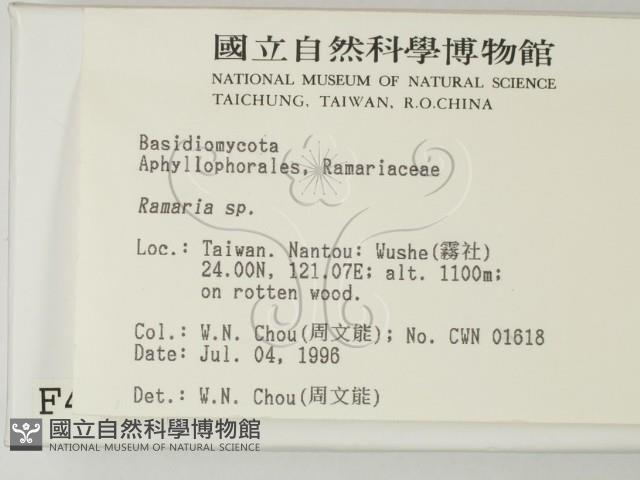 登錄號:F0004962藏品圖，第2張