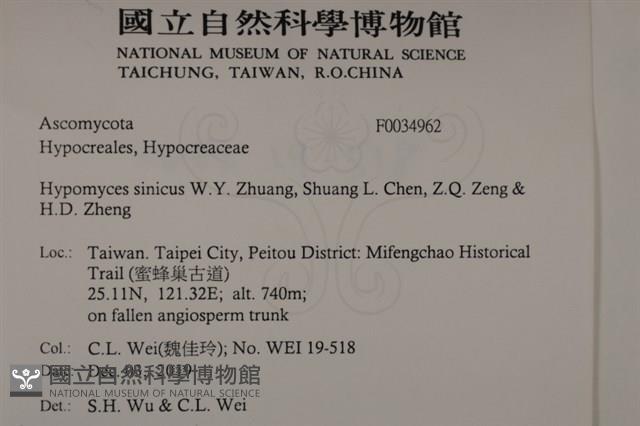 館號:F0034962藏品圖，第2張