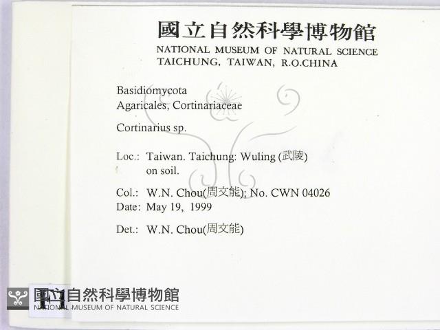 登錄號:F0012962藏品圖，第2張