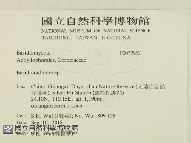 登錄號:F0032962藏品圖，第2張
