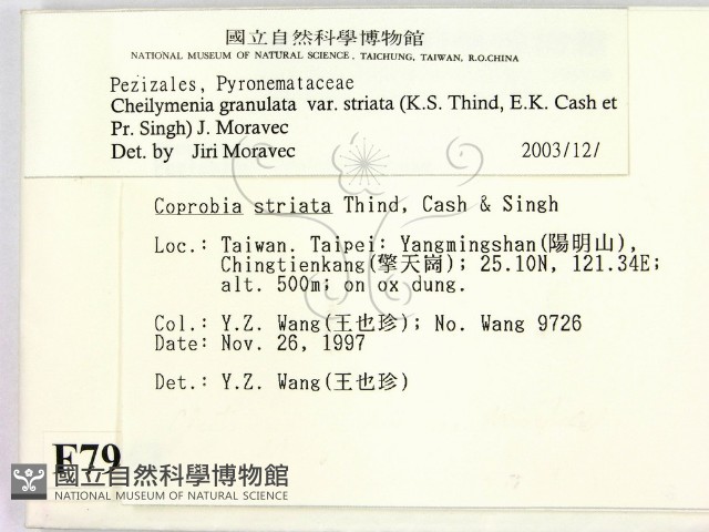 登錄號:F0007962藏品圖，第2張