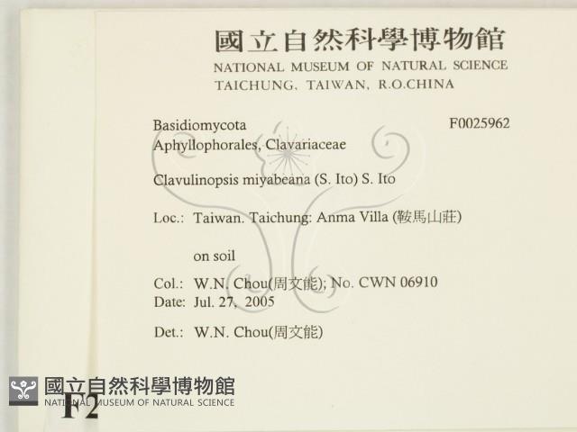 登錄號:F0025962藏品圖，第2張