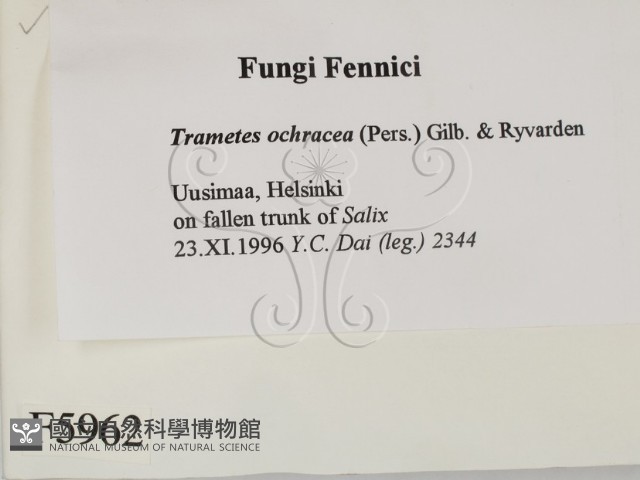 登錄號:F0005962藏品圖，第2張