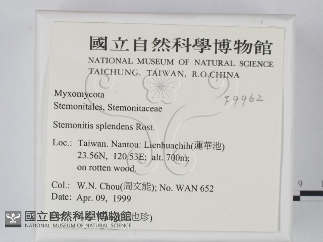 登錄號:F0009962藏品圖，第2張