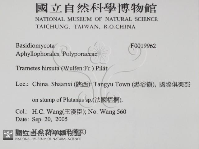 登錄號:F0019962藏品圖，第2張