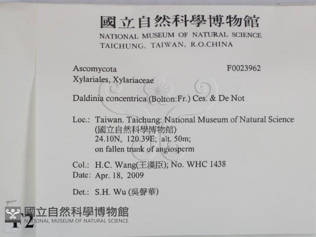 登錄號:F0023962藏品圖，第2張