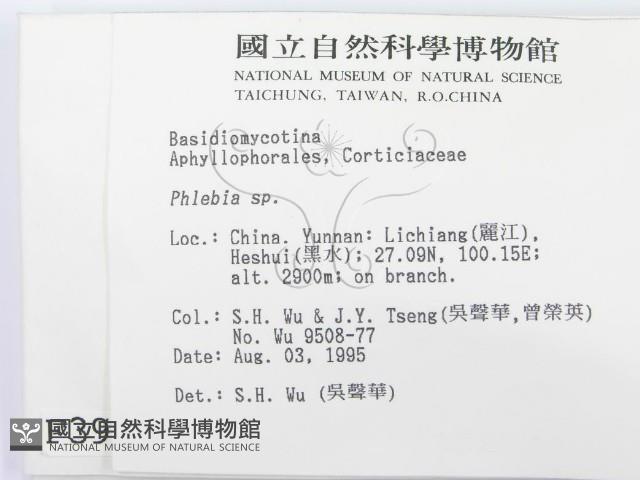 登錄號:F0003962藏品圖，第2張