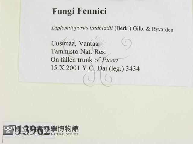 登錄號:F0013962藏品圖，第2張