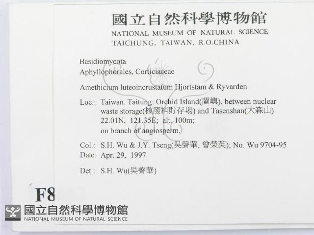登錄號:F0008662藏品圖，第2張