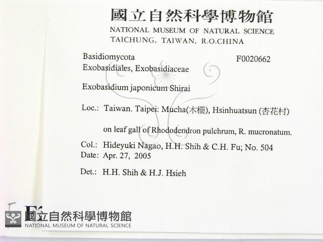 登錄號:F0020662藏品圖，第2張
