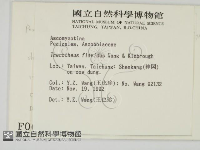 登錄號:F0000662藏品圖，第2張