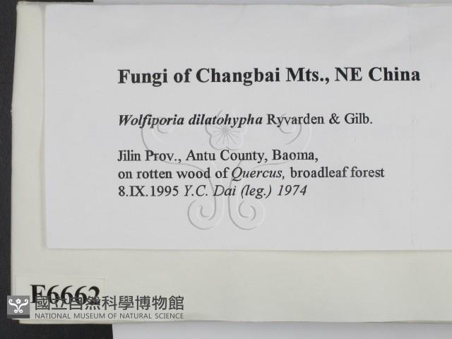 登錄號:F0006662藏品圖，第2張