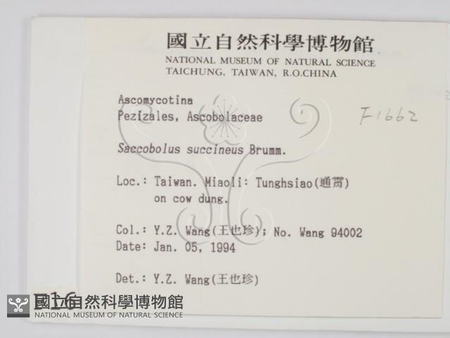 登錄號:F0001662藏品圖，第2張
