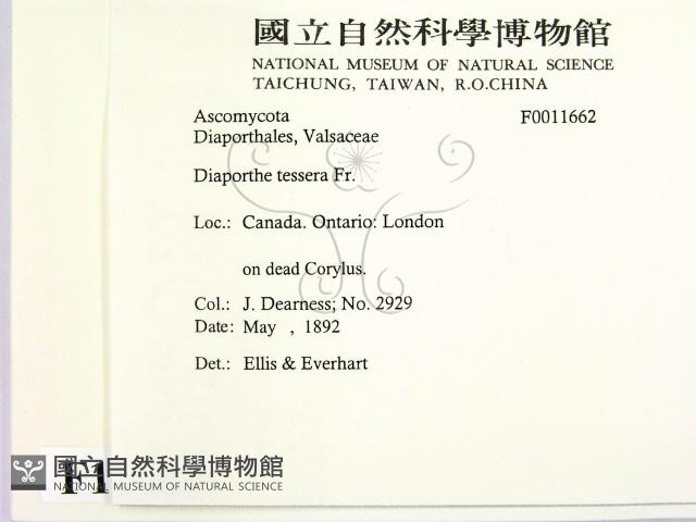 登錄號:F0011662藏品圖，第2張