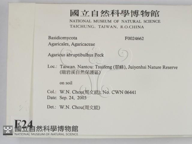 登錄號:F0024662藏品圖，第2張