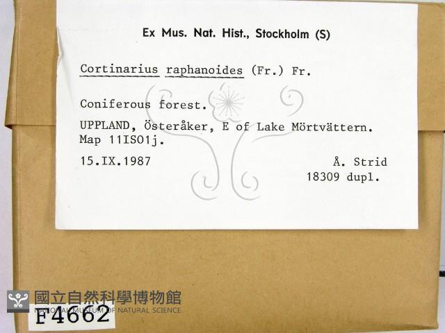 登錄號:F0004662藏品圖，第2張