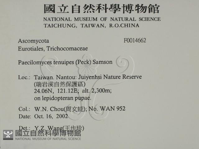 登錄號:F0014662藏品圖，第2張