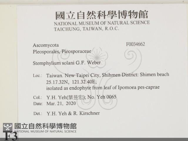 登錄號:F0034662藏品圖，第2張