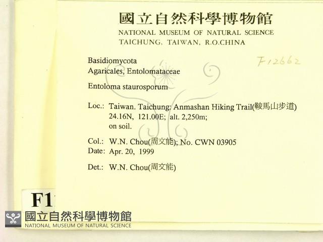 登錄號:F0012662藏品圖，第2張