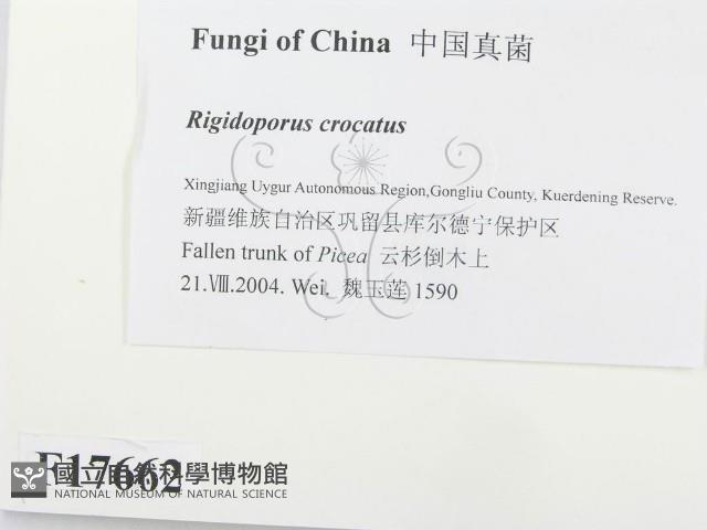 登錄號:F0017662藏品圖，第2張