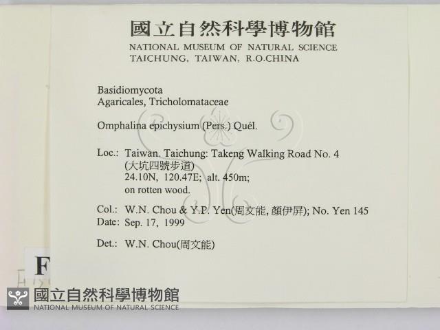 登錄號:F0015662藏品圖，第2張
