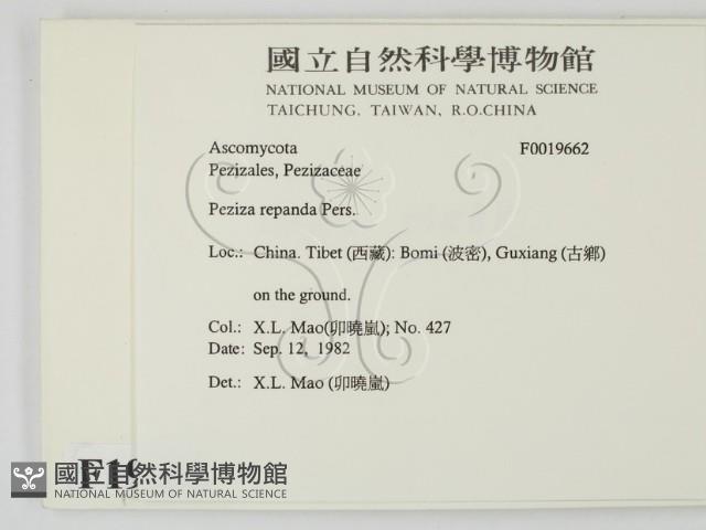 登錄號:F0019662藏品圖，第2張