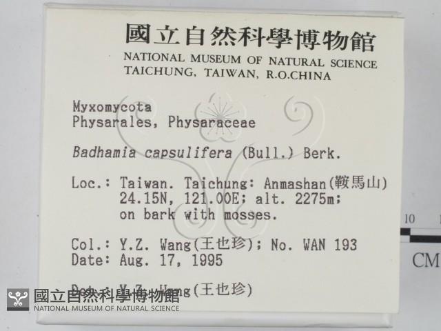 登錄號:F0003662藏品圖，第2張