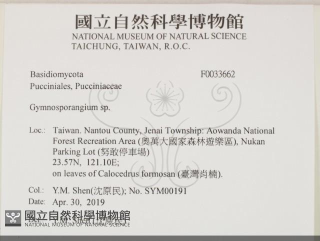 登錄號:F0033662藏品圖，第2張