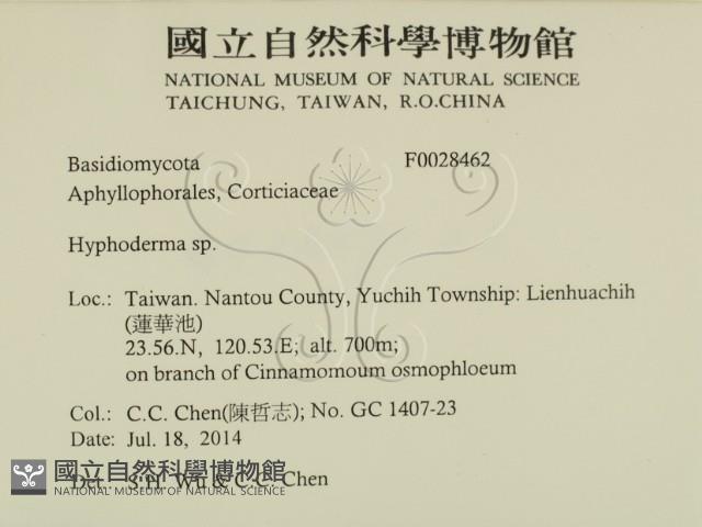 絲皮菌屬藏品圖，第2張