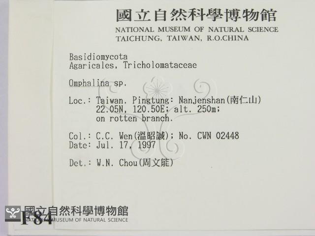 登錄號:F0008462藏品圖，第2張