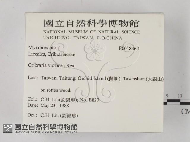登錄號:F0018462藏品圖，第2張