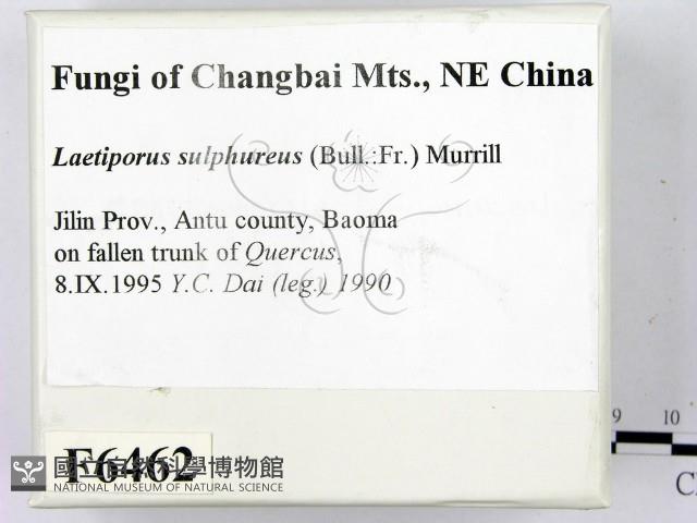 登錄號:F0006462藏品圖，第2張