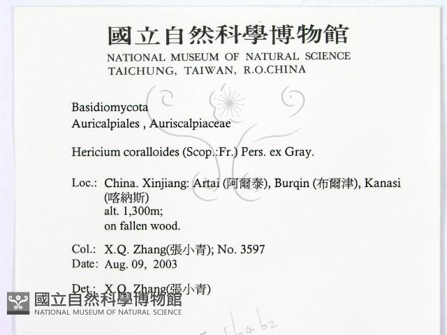 登錄號:F0016462藏品圖，第2張