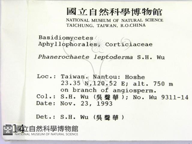 登錄號:F0001462藏品圖，第2張