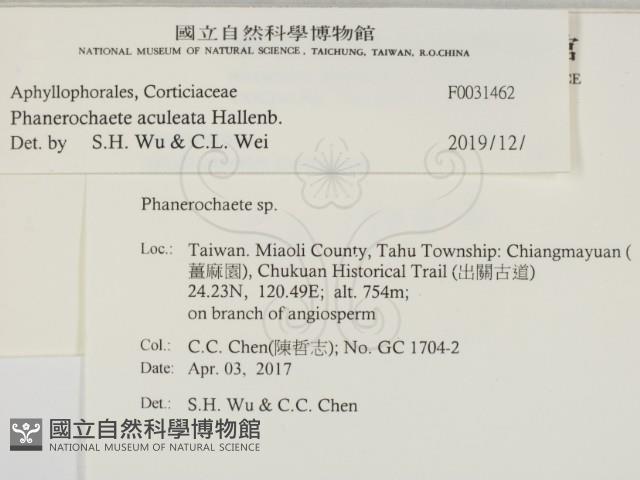 登錄號:F0031462藏品圖，第1張