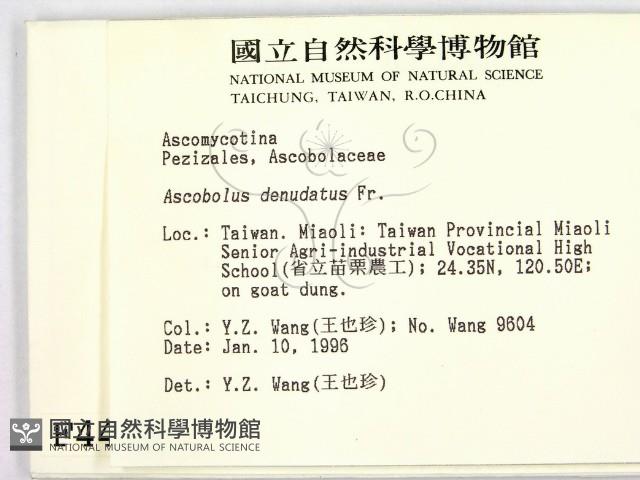 登錄號:F0004462藏品圖，第2張