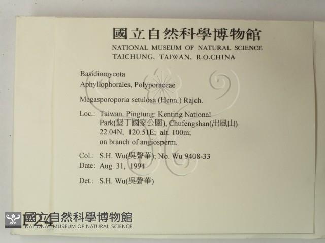 登錄號:F0002462藏品圖，第2張