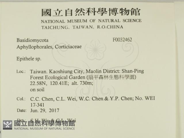 登錄號:F0032462藏品圖，第2張