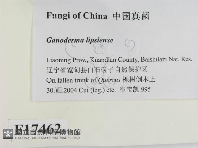 登錄號:F0017462藏品圖，第2張