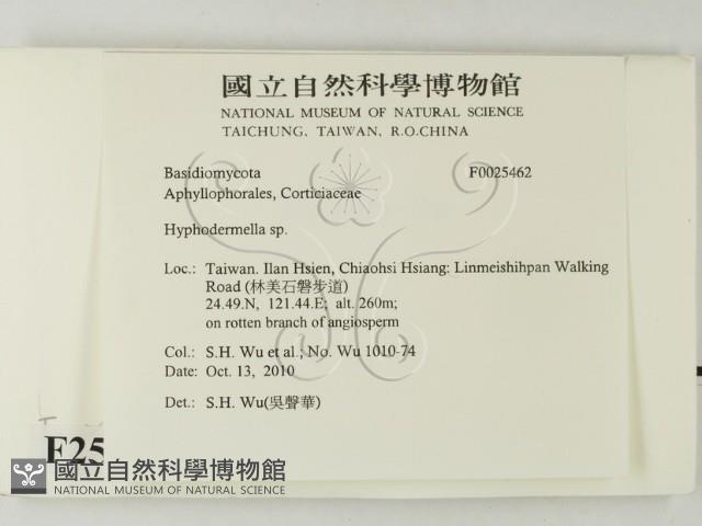 登錄號:F0025462藏品圖，第2張