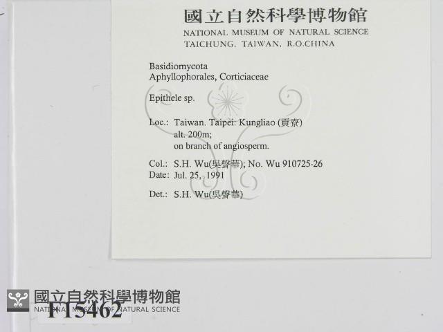 登錄號:F0015462藏品圖，第2張