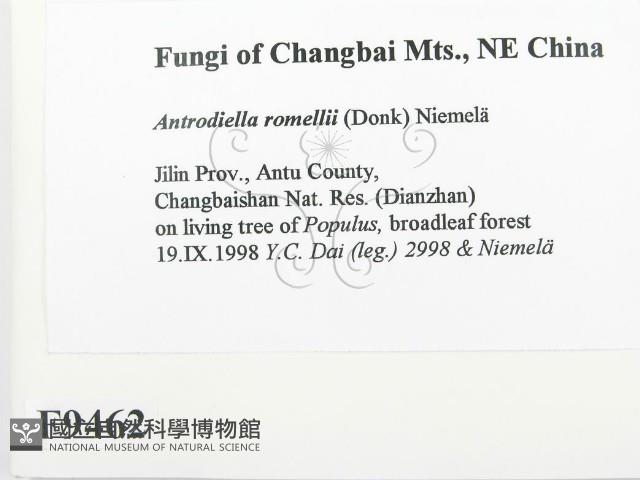 登錄號:F0009462藏品圖，第2張